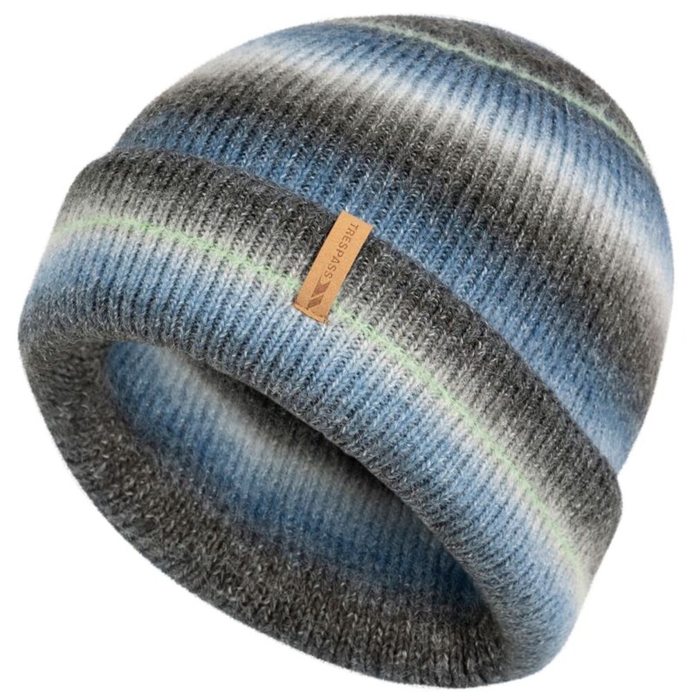 Trespass Unisex Adult Chevron Beanie / Blue